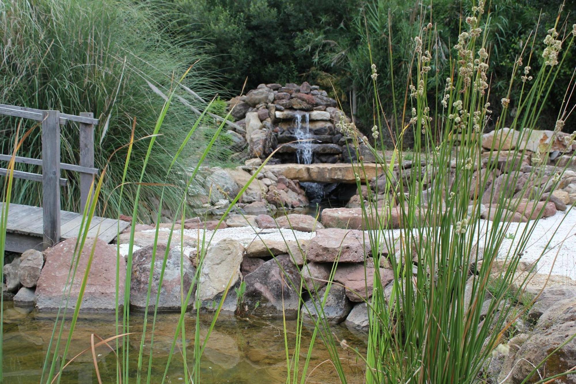 Bed and Breakfast Quinta Japonesa Carvalhal Bemfeito Экстерьер фото